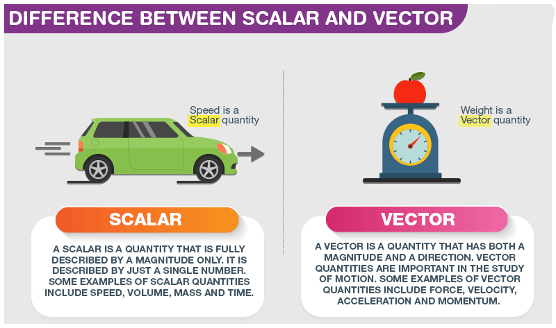 Difference Between Scalar and Vector
